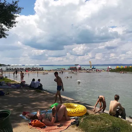 In - Balaton 49198 *