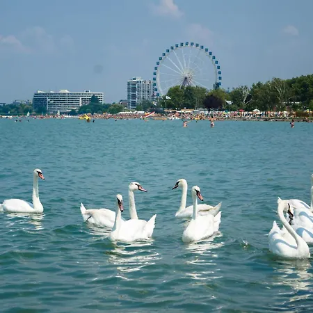In - Balaton 49198