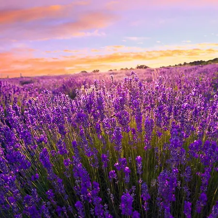In - Balaton 49198 Lägenhet Siófok