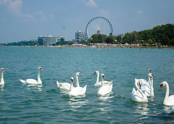 In - Balaton 49198